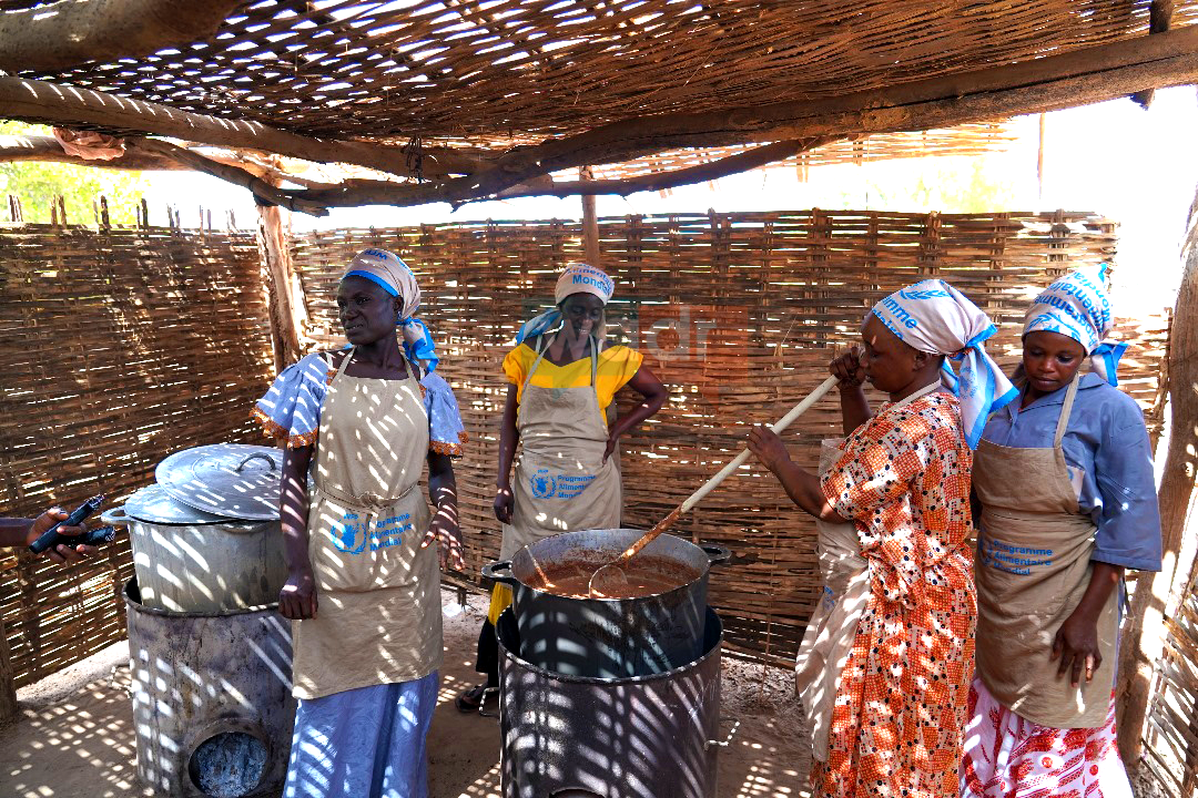 Senegal: WFP installs canteens for schools, empowers farmers in Kolda region