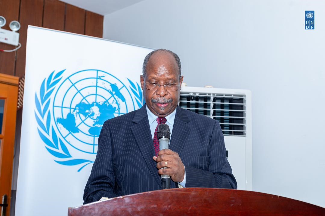 UNOWAS chief urges stronger efforts towards gender gender quality in peace initiatives