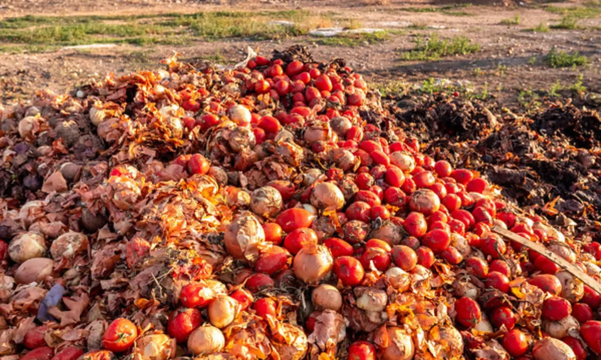 Experts link post-harvest losses to food insufficiency in Nigeria